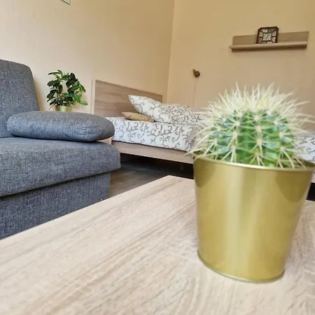 Apartment Paeikeseline Stuudiokorter *