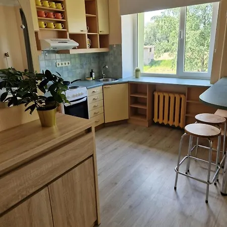 Paeikeseline Stuudiokorter Apartment *